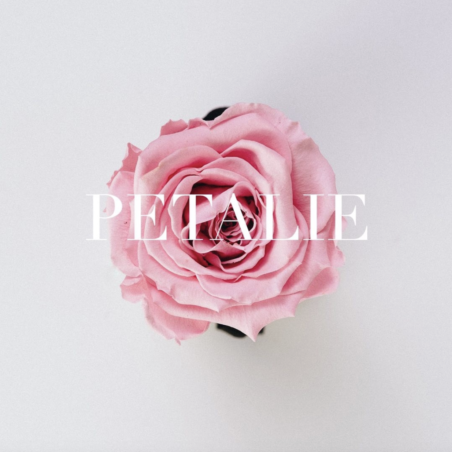 Petalie Rose